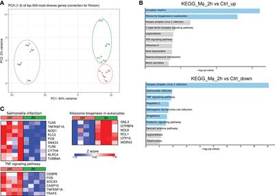 A gene expression map of host immune response in human brucellosis